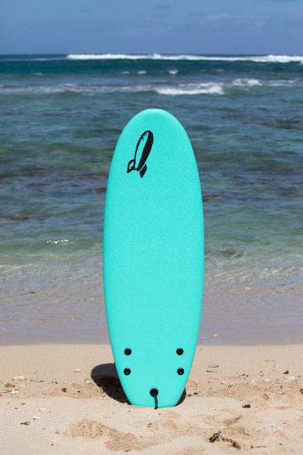 4'10" CHUB twin fin shortboard