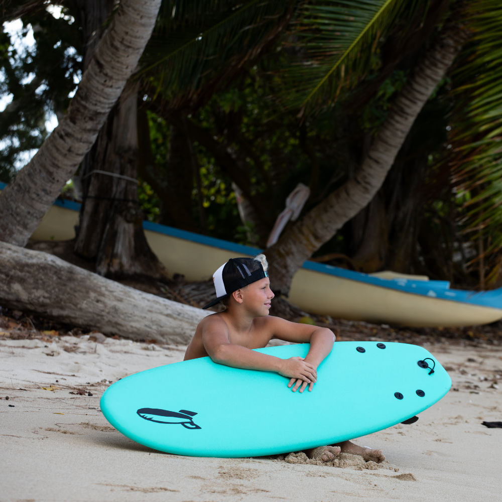 4'10" CHUB twin fin shortboard