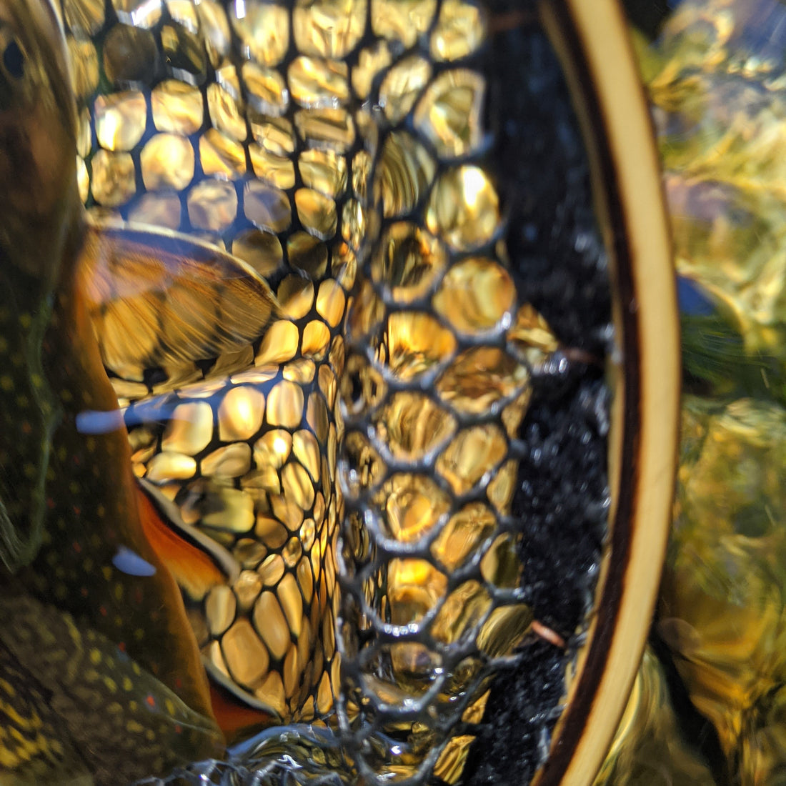 The Upstream