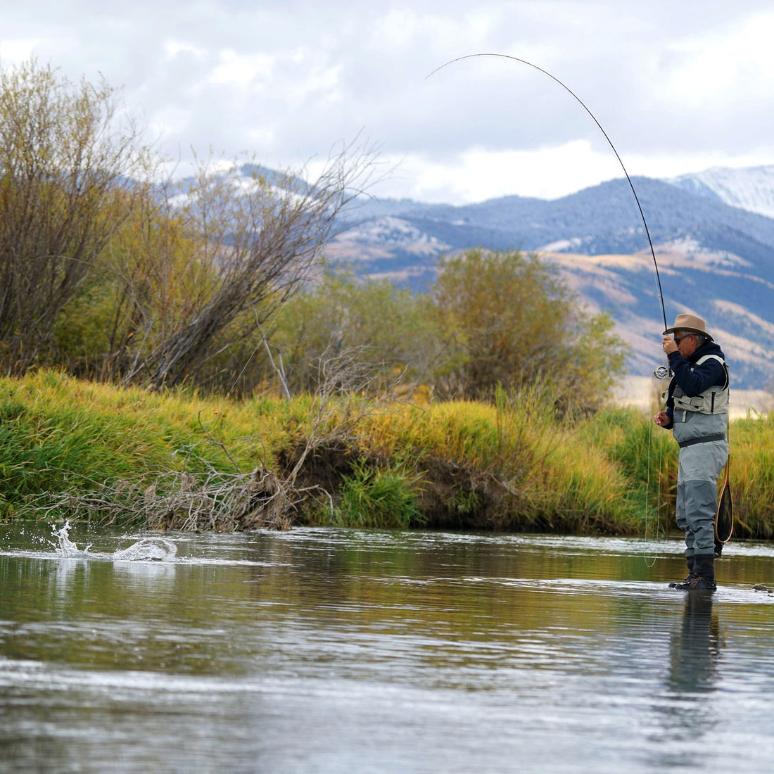 3 Pack Tungsten Bead Pheasant Tail Tactical Jig Czech Nymph Euro Nymphing Fly - Hook Size 14